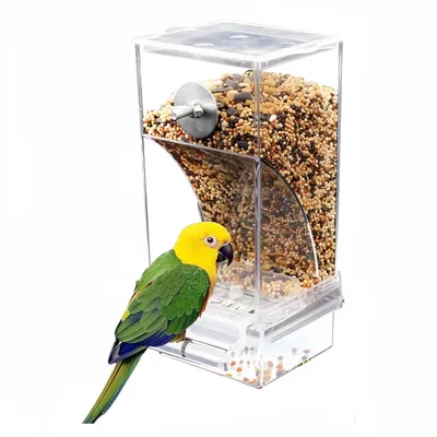 FurryFusion Mangeoire automatique pour oiseaux