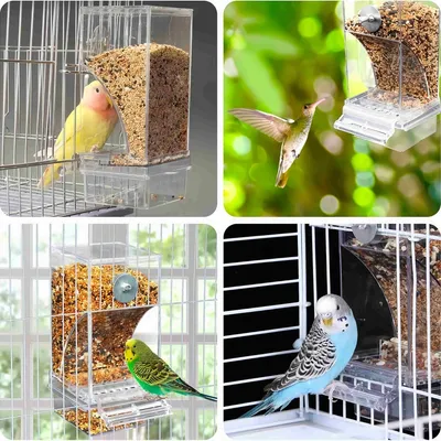 FurryFusion Mangeoire automatique pour oiseaux