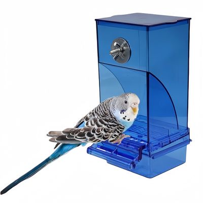 FurryFusion Mangeoire automatique pour oiseaux