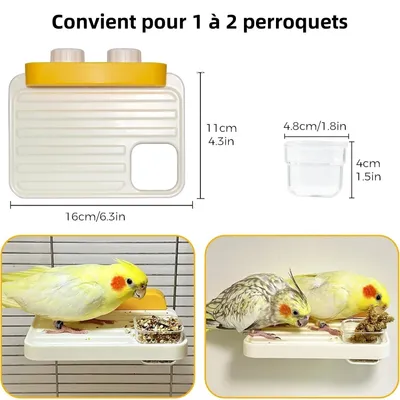 ZenPets Avian Oasis Mangeoire Pour Perruches Moyennes Et Petites