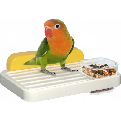 ZenPets Avian Oasis Mangeoire Pour Perruches Moyennes Et Petites