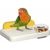 ZenPets Avian Oasis Mangeoire Pour Perruches Moyennes Et Petites