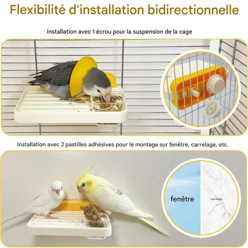 ZenPets Avian Oasis Mangeoire Pour Perruches Moyennes Et Petites