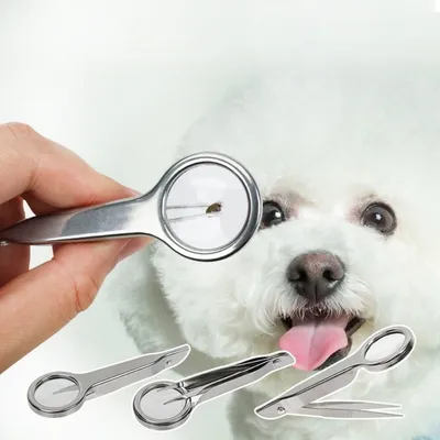 Petopia Outil de retrait de tiques pour animaux