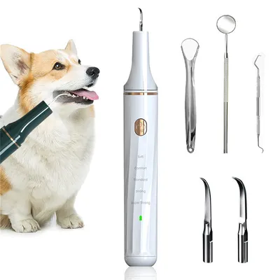 IntiMeg Cepillo de dientes ultrasónico para limpiar el sarro dental