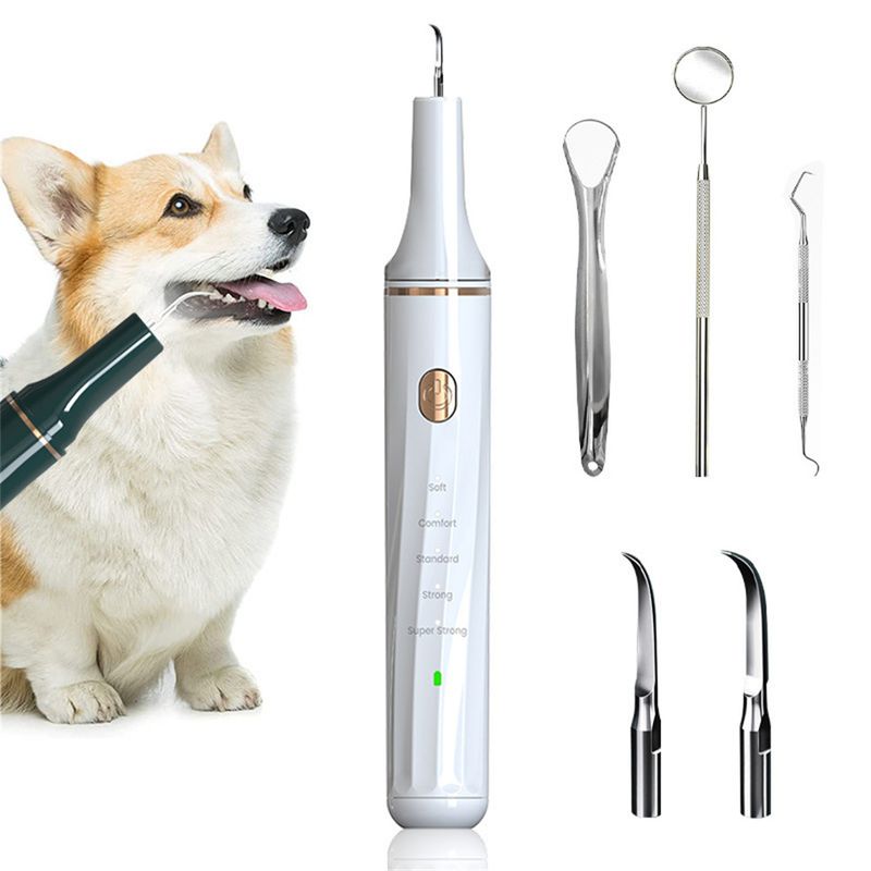 IntiMeg Brosse à dents à ultrasons pour nettoyer le tartre dentaire