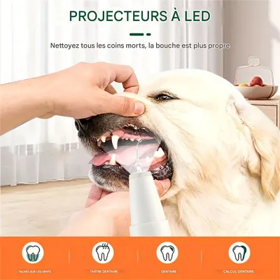 IntiMeg Brosse à dents à ultrasons pour nettoyer le tartre dentaire