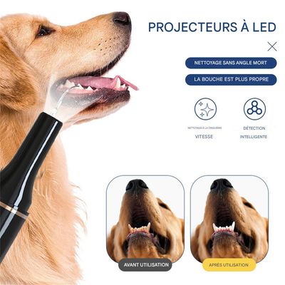 IntiMeg Brosse à dents à ultrasons pour nettoyer le tartre dentaire