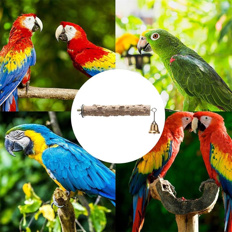 IntiMeg Perchoir en bois pour cage à oiseaux