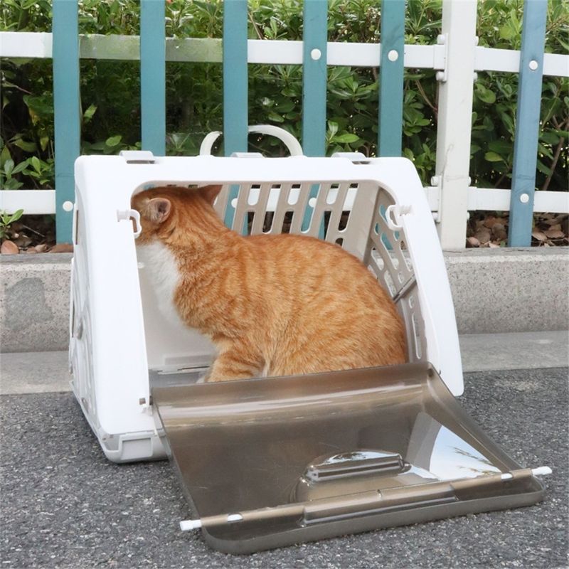 IntiMeg Cage de transport pour chat