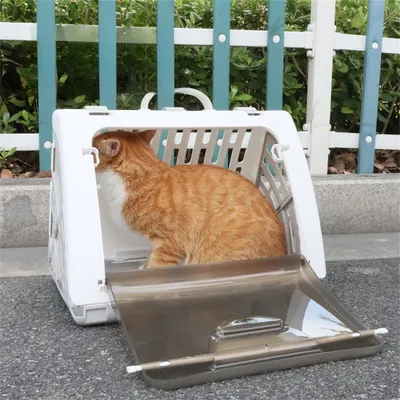 IntiMeg Cage de transport pour chat