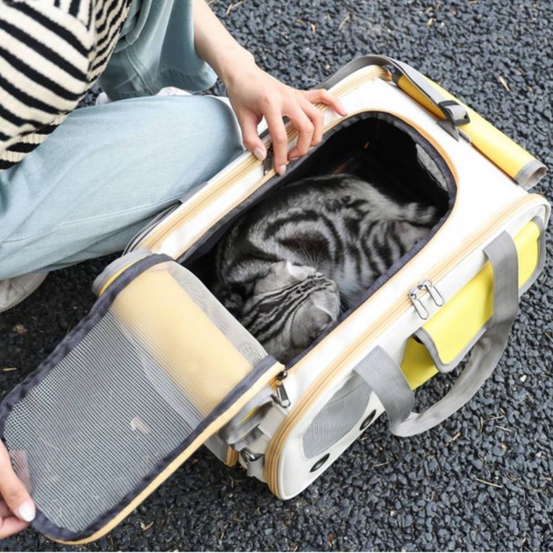 Petopia Transporteur pour animaux de compagnie
