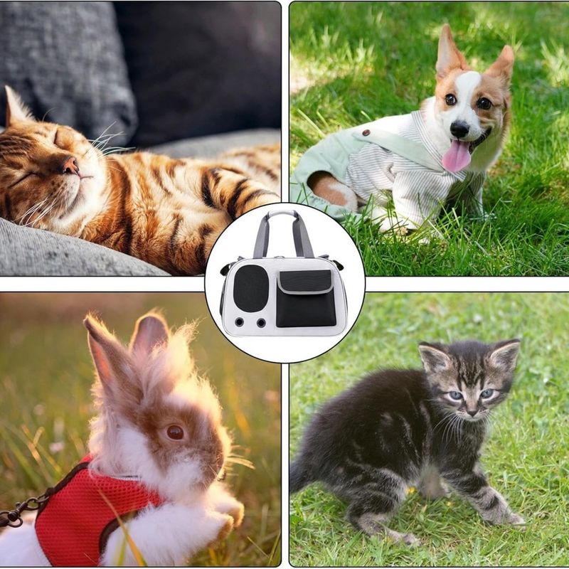 Petopia Transporteur pour animaux de compagnie