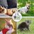 Petopia Transporteur pour animaux de compagnie