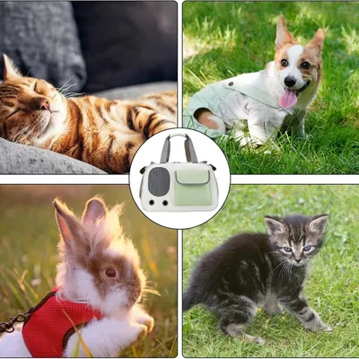 Petopia Transporteur pour animaux de compagnie