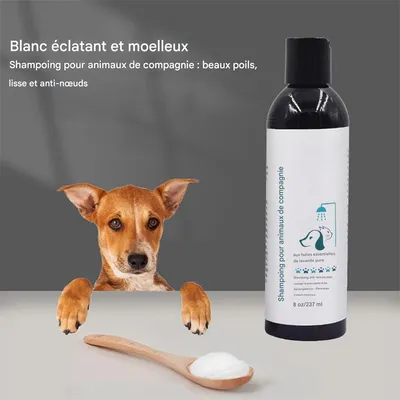ZenPets Shampooing pour animaux de compagnie