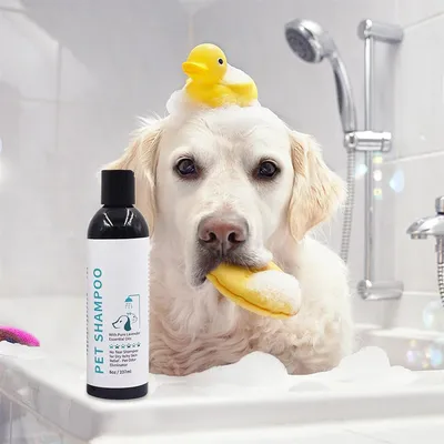 ZenPets Shampooing pour animaux de compagnie