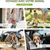 IntiMeg Sac à dos de transport pour chiens et chats