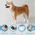 UAMLY Couvre-pieds de chien jetables