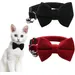 UAMLY Katzenhalsband mit Glöckchen und Fliege