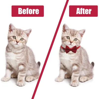 UAMLY Collier pour chat avec clochette et nœud papillon