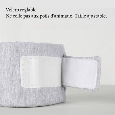 Petopia Collier de protection cervicale pour chien et chat