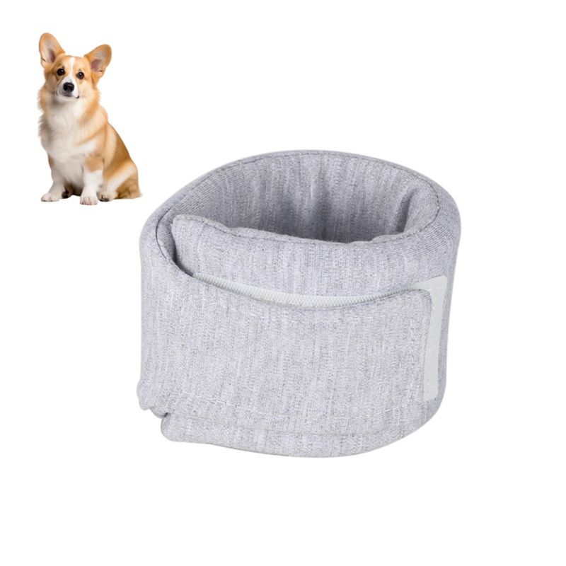 Petopia Collier de protection cervicale pour chien et chat