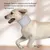 Petopia Collier de protection cervicale pour chien et chat