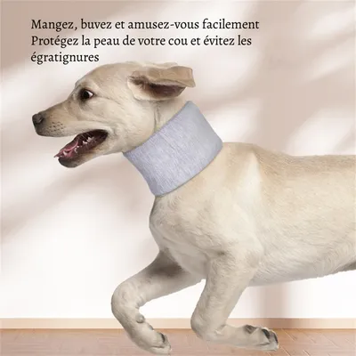 Petopia Collier de protection cervicale pour chien et chat