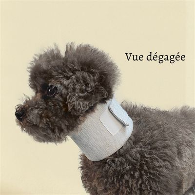 Petopia Collier de protection cervicale pour chien et chat