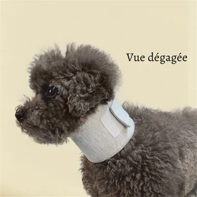 Petopia Collier de protection cervicale pour chien et chat