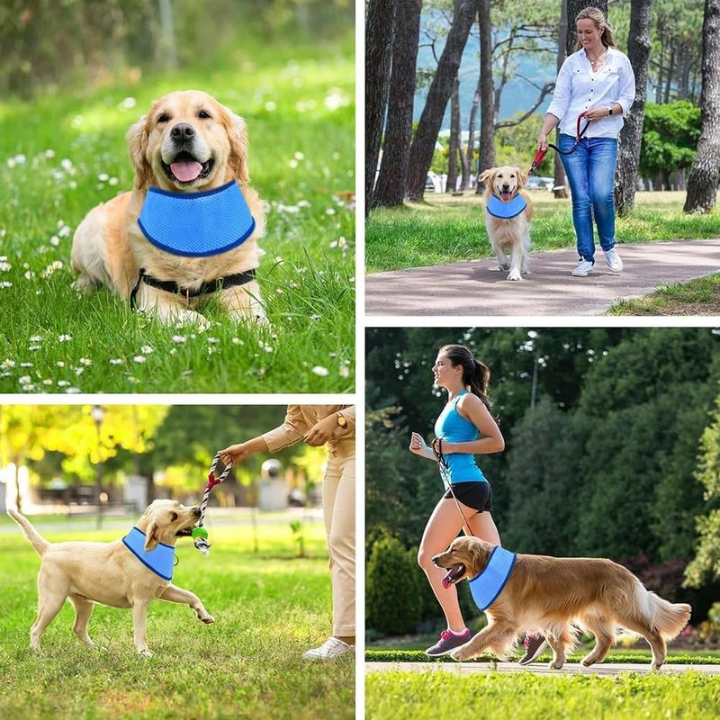 UAMLY Bandana rafraîchissant pour chien