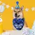 UAMLY Hunde-Geburtstagsset UAMLY Hunde-Geburtstagsset