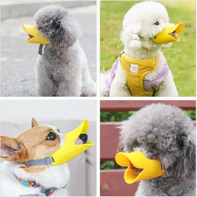 Petopia Muselière en silicone pour chien