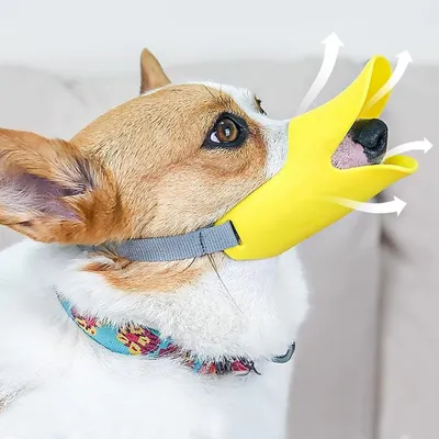 Petopia Muselière en silicone pour chien