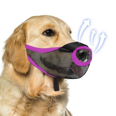 Petopia Muselière pour chiens