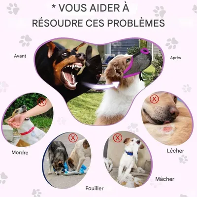 Petopia Muselière pour chiens
