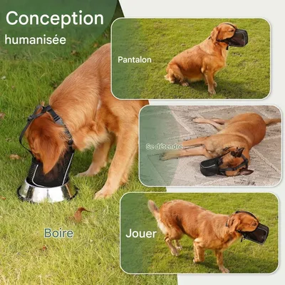 ZenPets SafeGuard Muselière Pour Chien