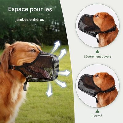 ZenPets SafeGuard Muselière Pour Chien