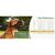ZenPets SafeGuard Muselière Pour Chien
