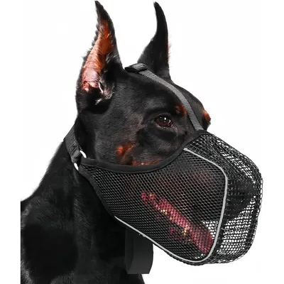 ZenPets SafeGuard Muselière Pour Chien