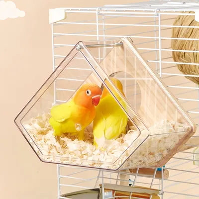 FurryFusion Casa para pájaros de madera transparente