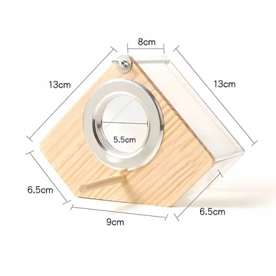 FurryFusion Nichoir à oiseaux en bois transparent