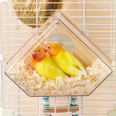 FurryFusion Casa para pájaros de madera transparente