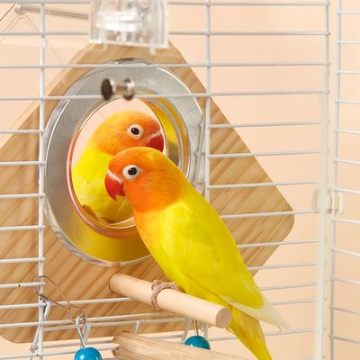 FurryFusion Nichoir à oiseaux en bois transparent