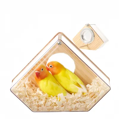 FurryFusion Nichoir à oiseaux en bois transparent