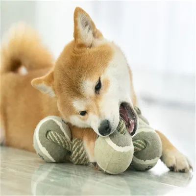 Petopia Jouet de grignotage en corde pour chien