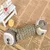 Petopia Jouet de grignotage en corde pour chien