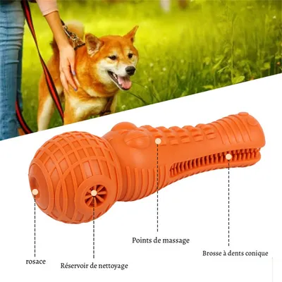 Petopia  à la fois bâton de mâchouillage et brosse à dents