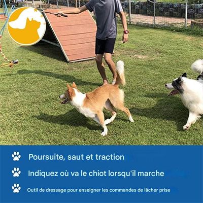 IntiMeg Canne à morsure pour chien